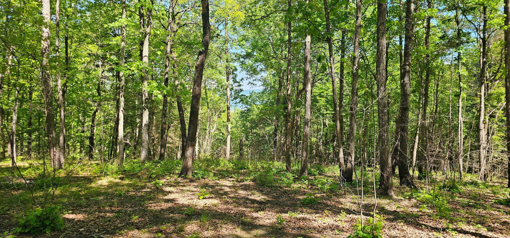 0 Bluffview Drive Dunlap TN 37327