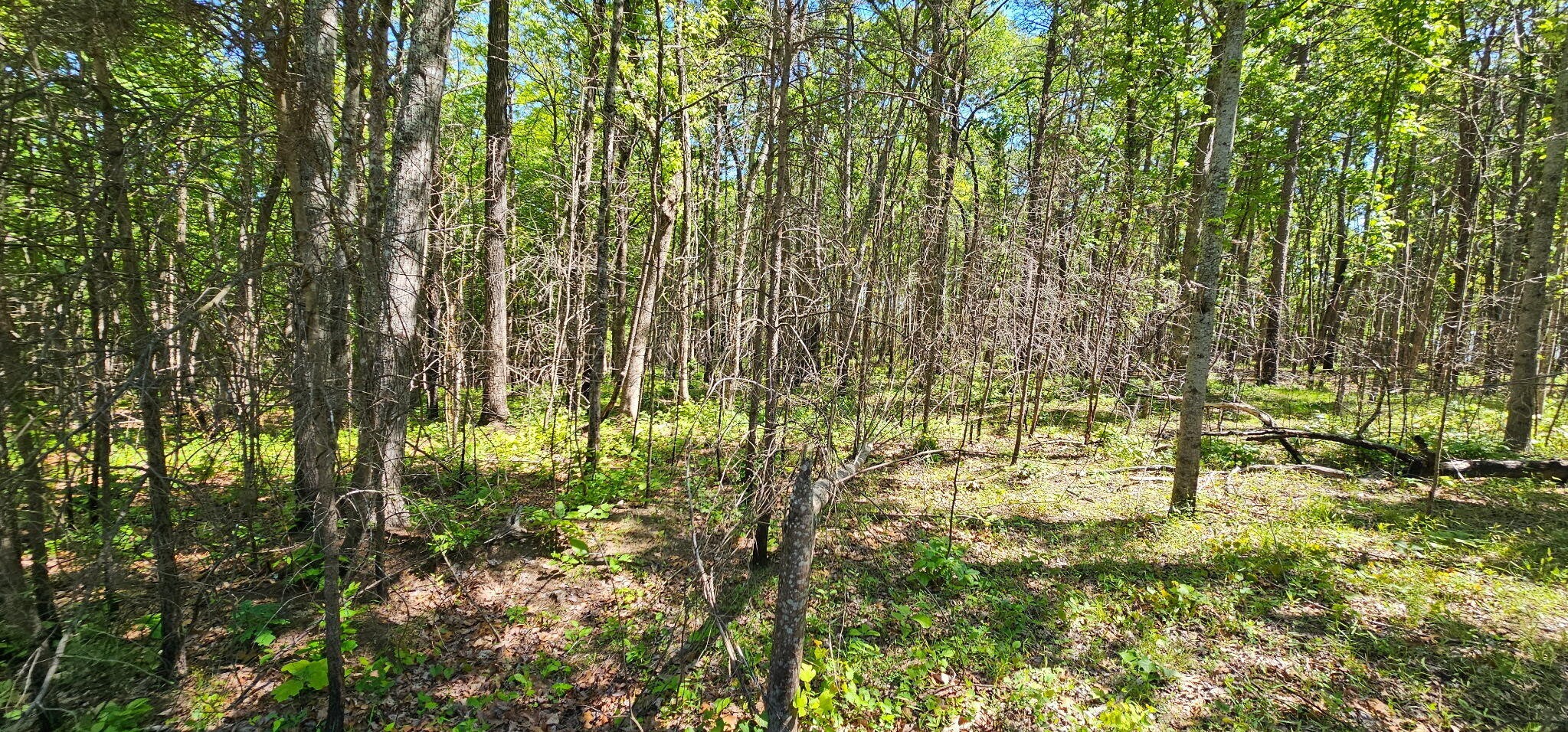 0 Bluffview Drive Dunlap TN 37327