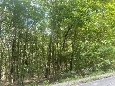 0 Roarks Cove Road Sewanee TN 37375