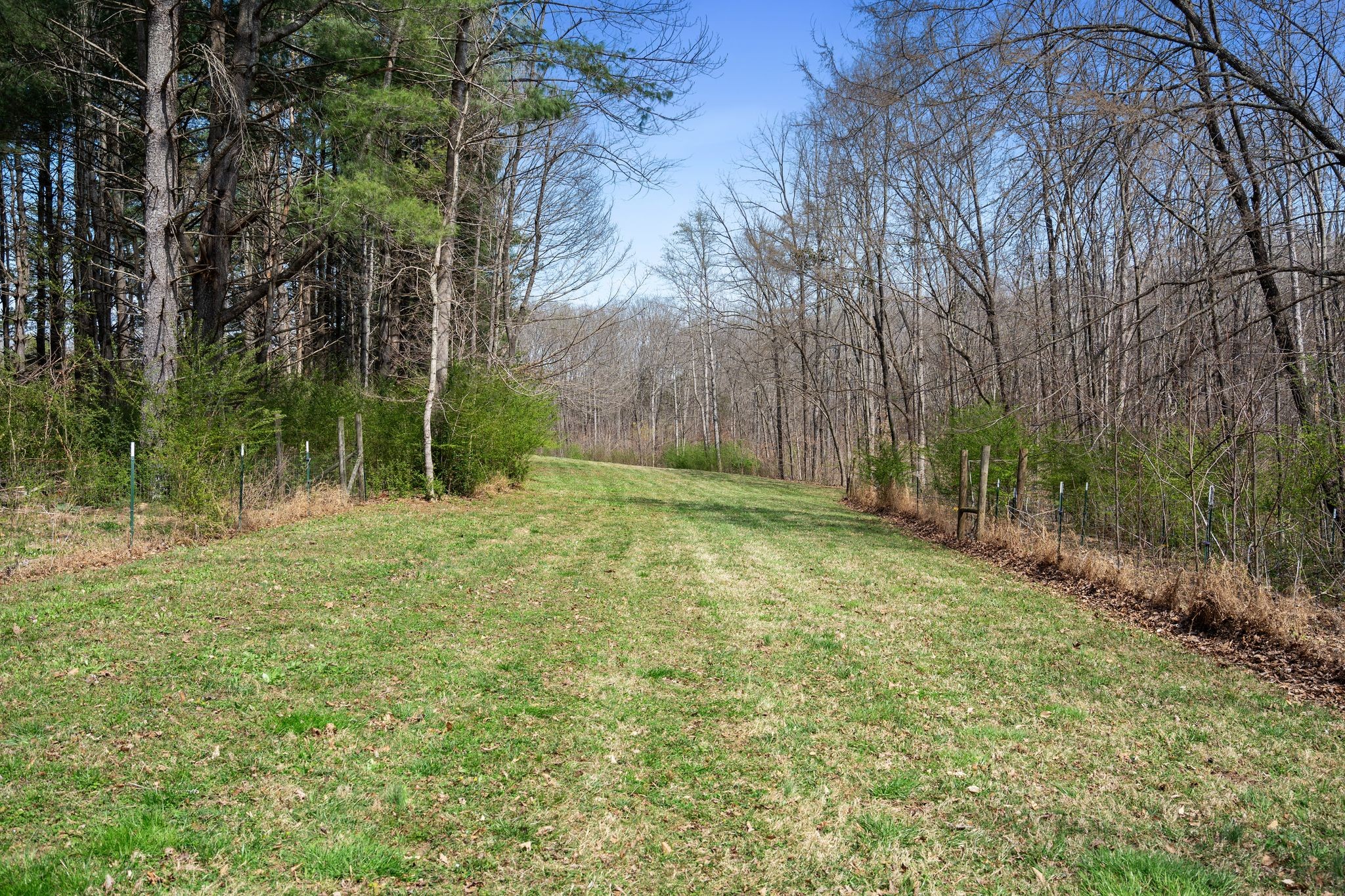 381 Studer Road Manchester TN 37355