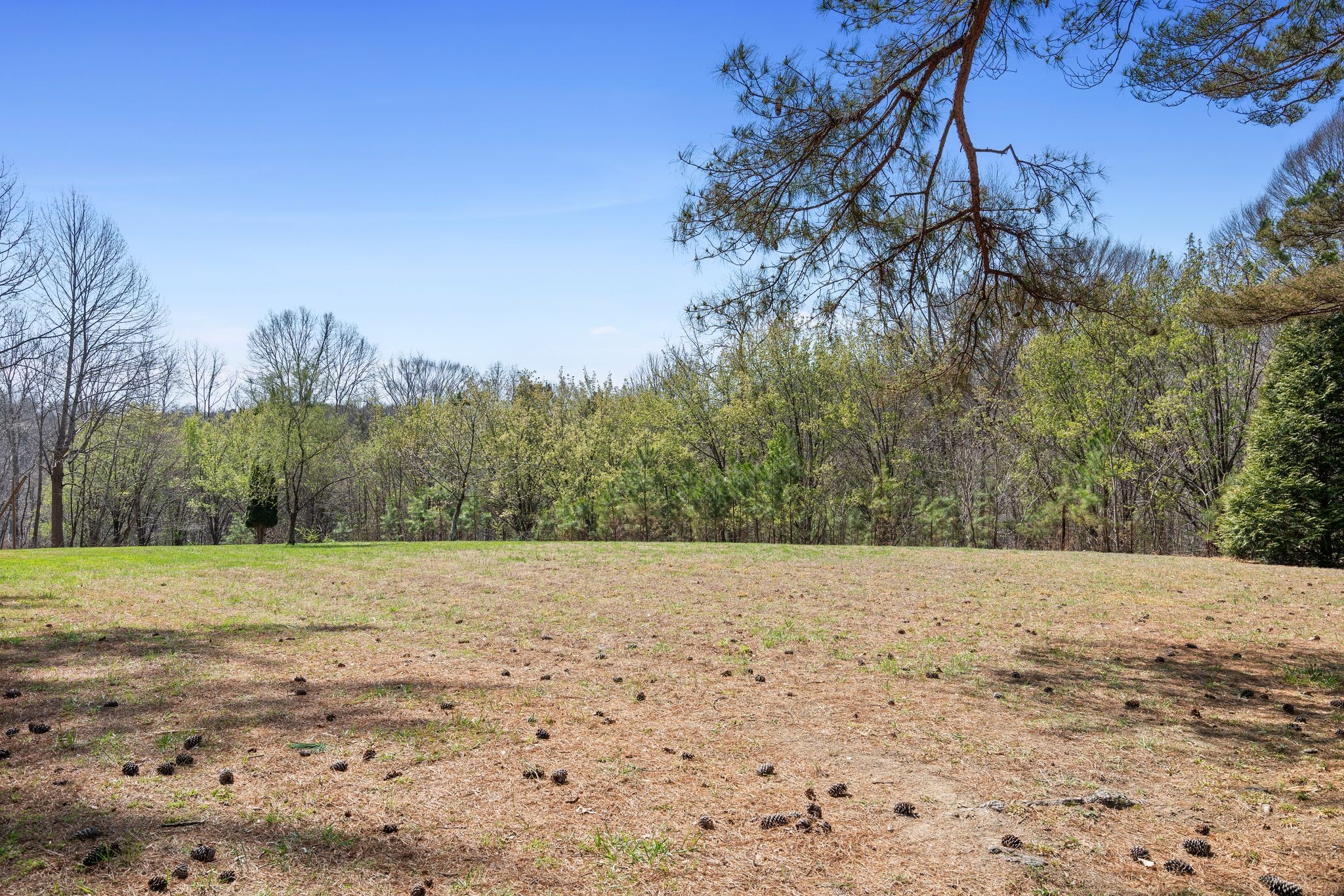 381 Studer Road Manchester TN 37355