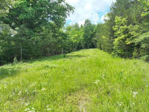 0 Maple Valley Road Cumberland Furnace TN 37051