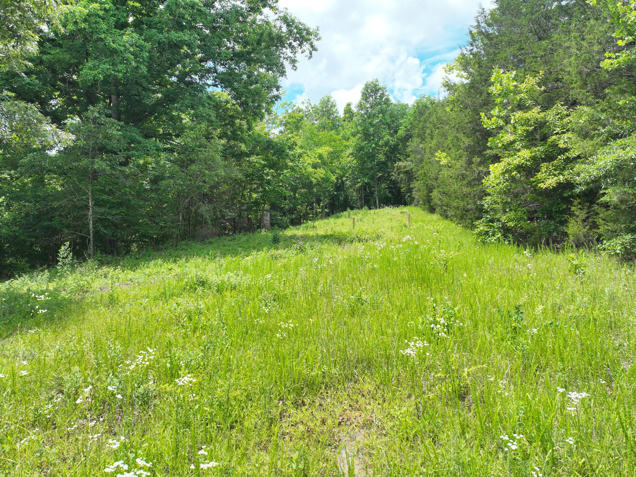 0 Maple Valley Road Cumberland Furnace TN 37051