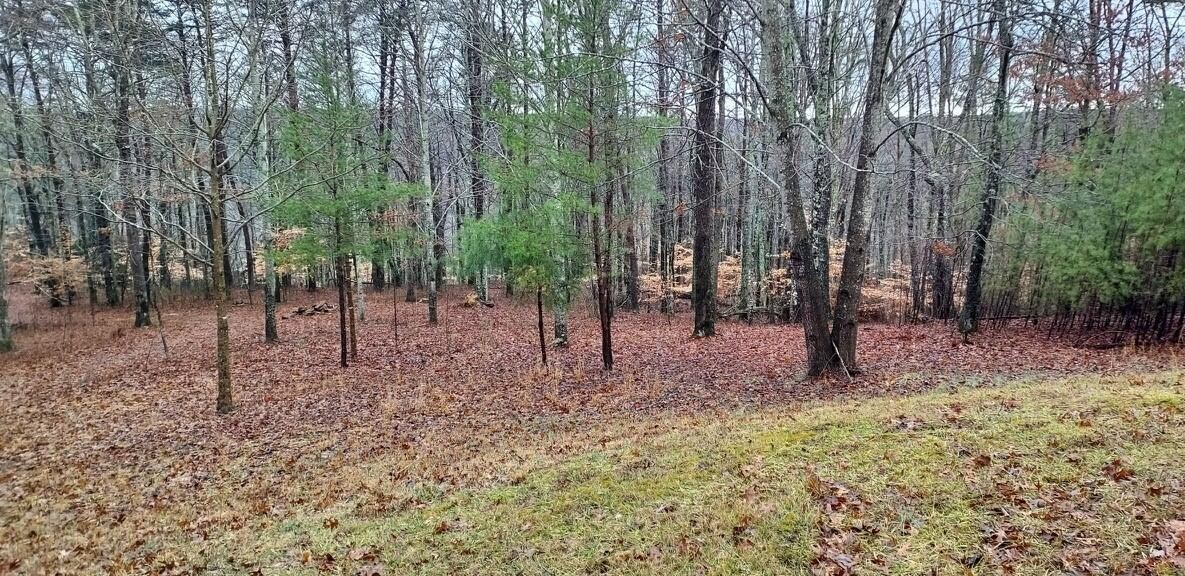 0 Wilderness Lane Spencer TN 38585