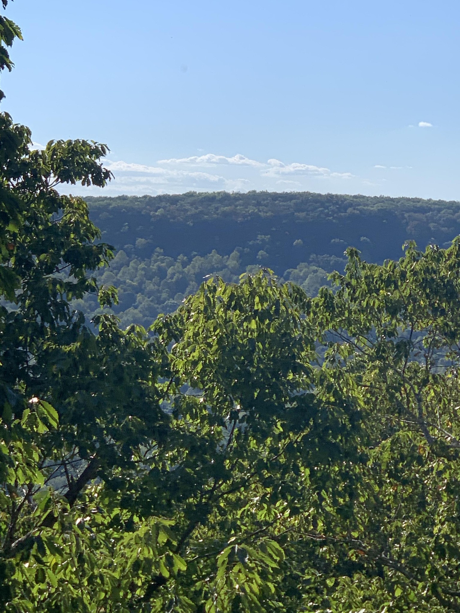 0 Wilderness Lane Spencer TN 38585