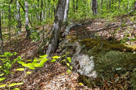 0 Deepwoods Road Sewanee TN 37375