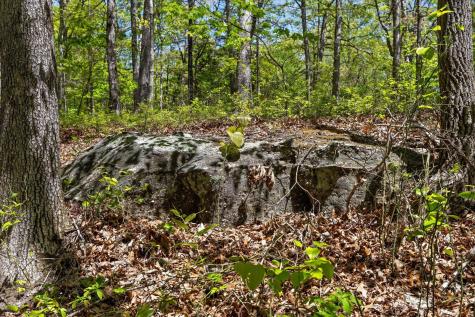 0 Deepwoods Road Sewanee TN 37375