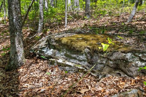 0 Deepwoods Road Sewanee TN 37375