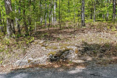 0 Deepwoods Road Sewanee TN 37375