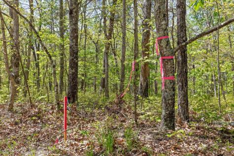 0 Deepwoods Road Sewanee TN 37375