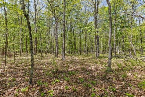 0 Deepwoods Road Sewanee TN 37375