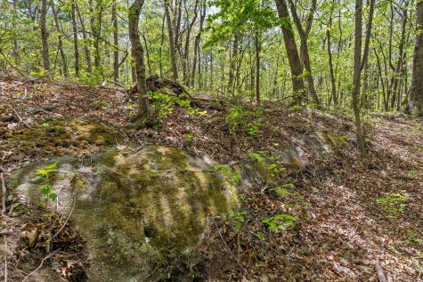 0 Deepwoods Road Sewanee TN 37375