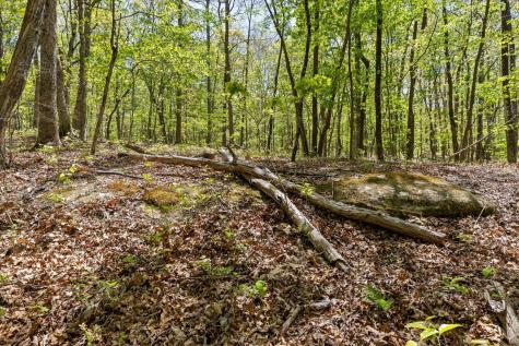 0 Deepwoods Road Sewanee TN 37375