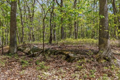 0 Deepwoods Road Sewanee TN 37375