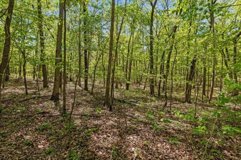 0 Deepwoods Road Sewanee TN 37375