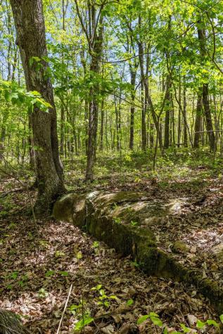 0 Deepwoods Road Sewanee TN 37375