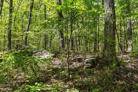 0 Deepwoods Road Sewanee TN 37375