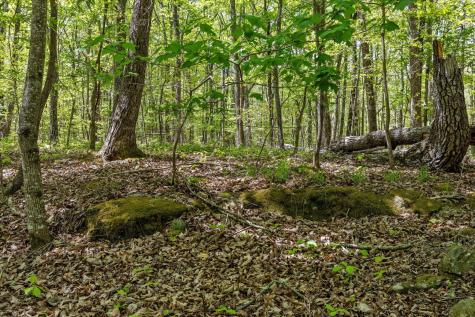 0 Deepwoods Road Sewanee TN 37375