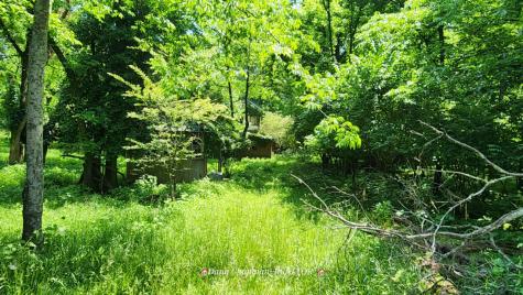 44 Harbor Drive Lebanon TN 37087