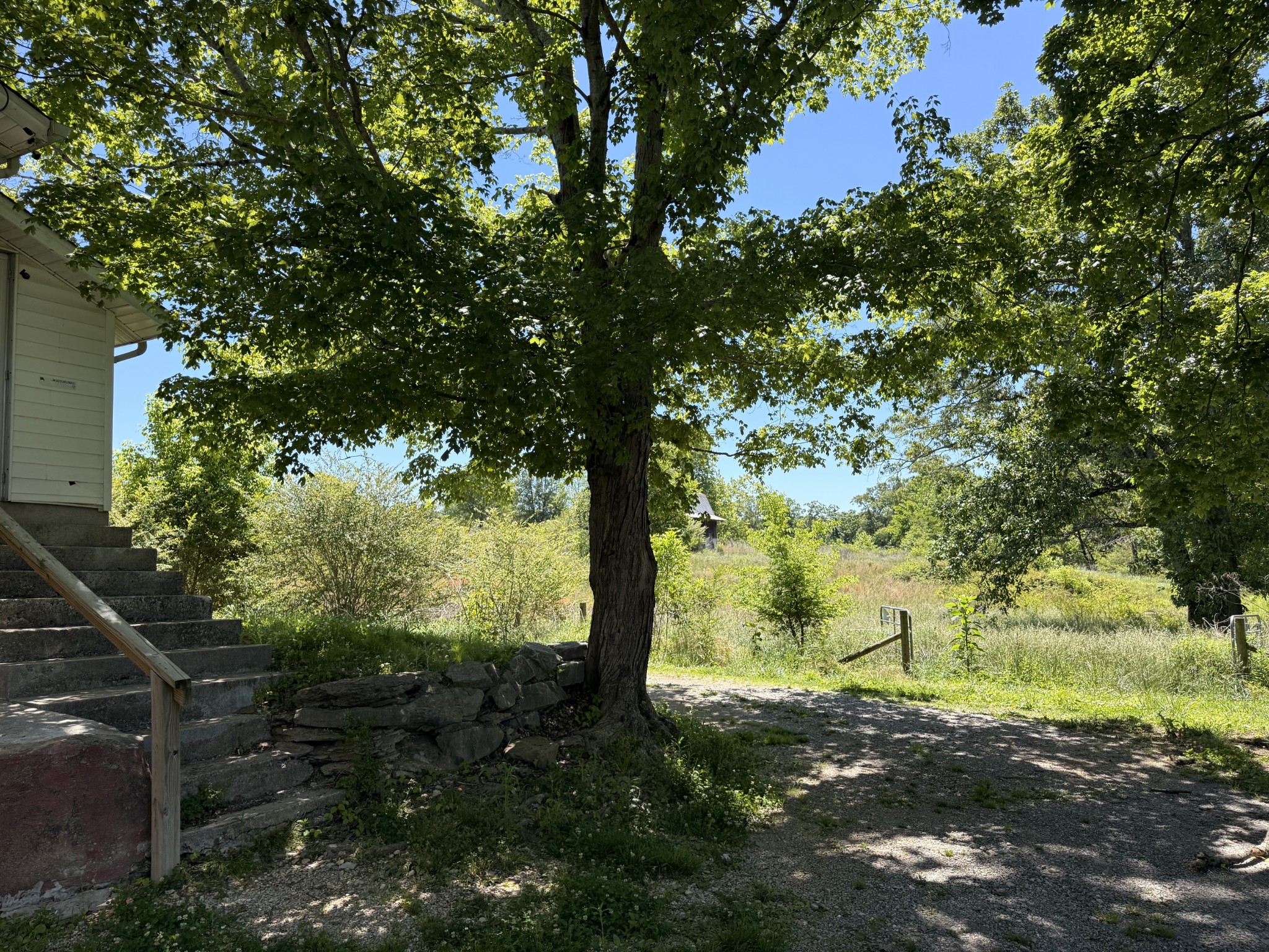 3602 Highway 43 S Loretto TN 38469