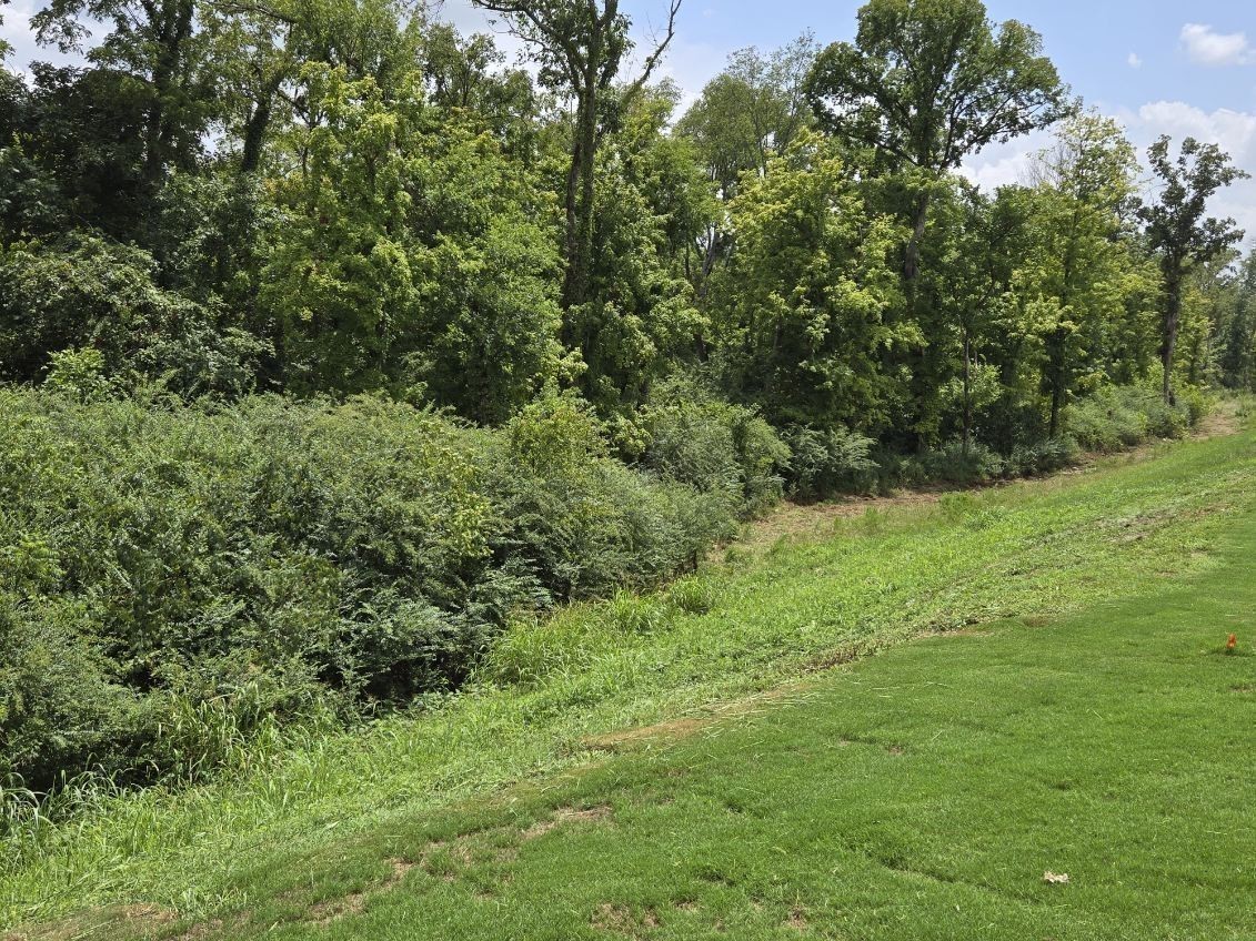 4145 Oswin Drive Murfreesboro TN 37129