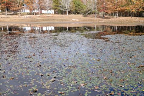 926 Monteagle Falls Road Monteagle TN 37356