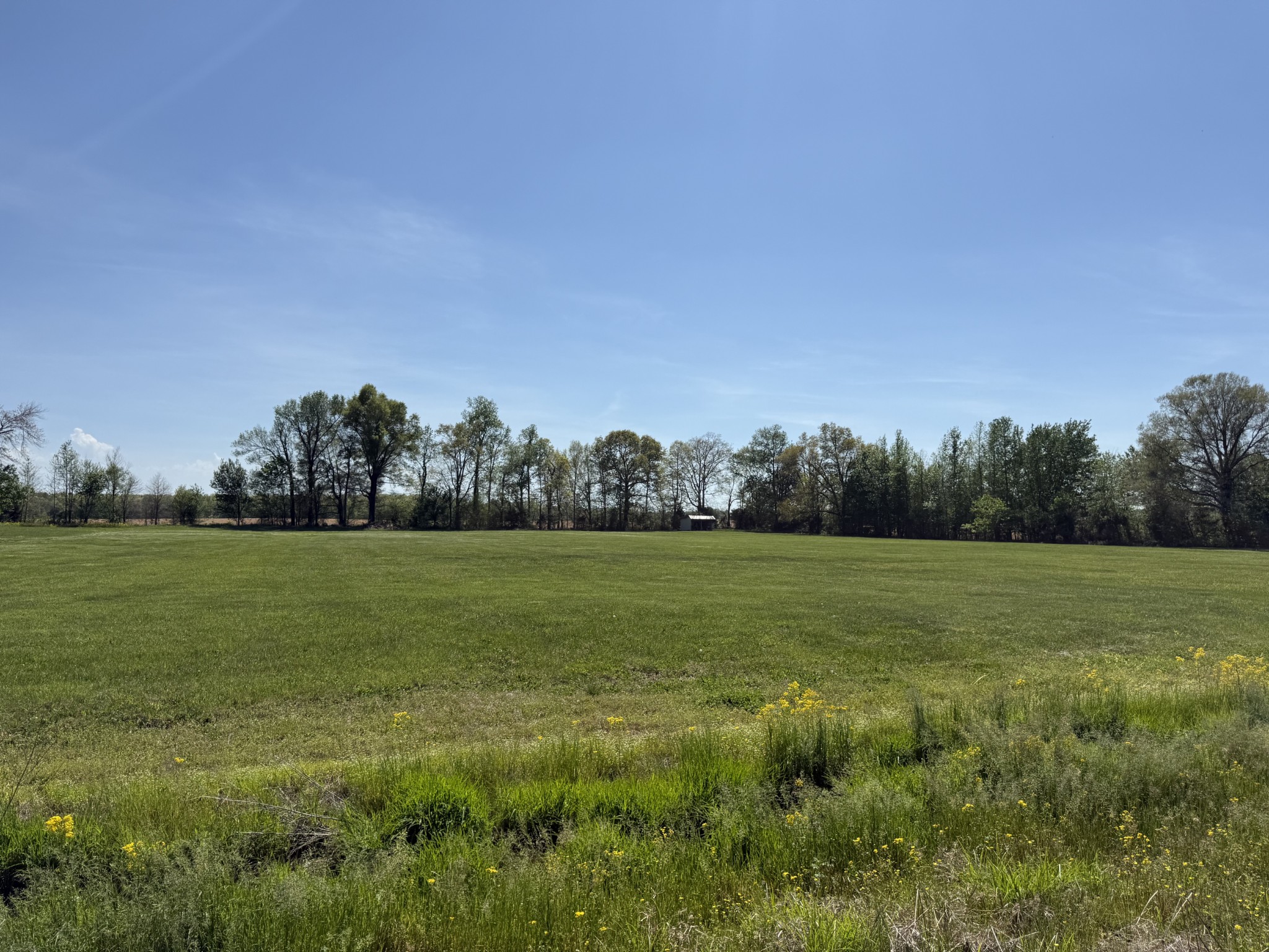 1247 Myrtle Road Bradyville TN 37026