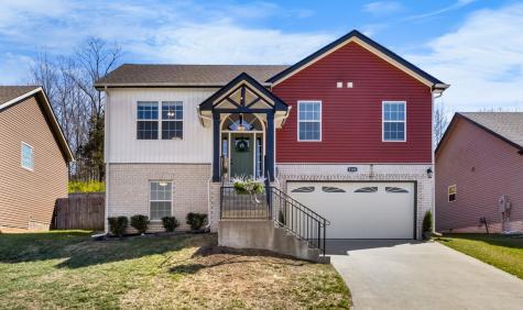 1164 Racker Drive Clarksville TN 37043