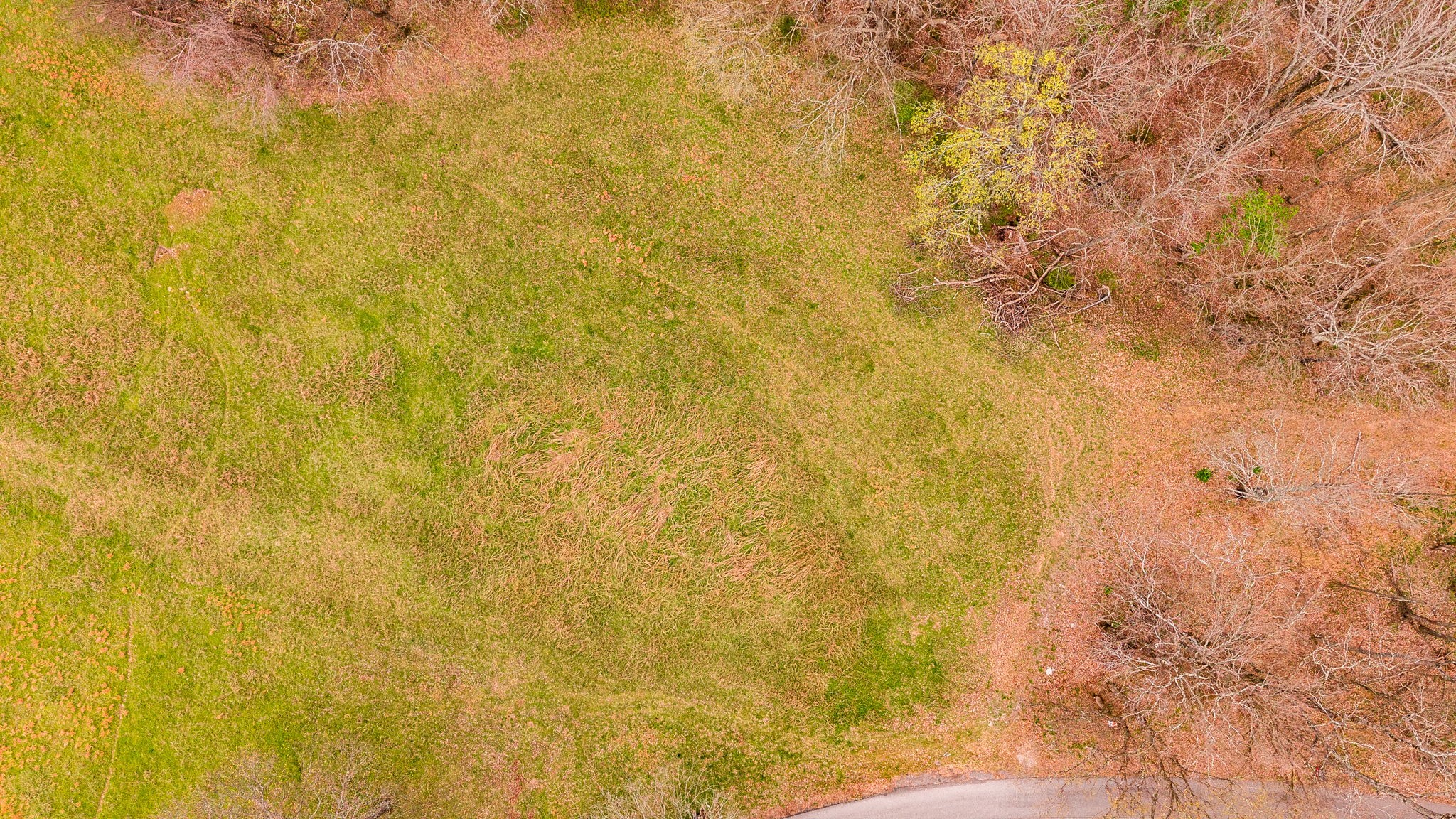 0 Wolf Hill Road Bethpage TN 37022