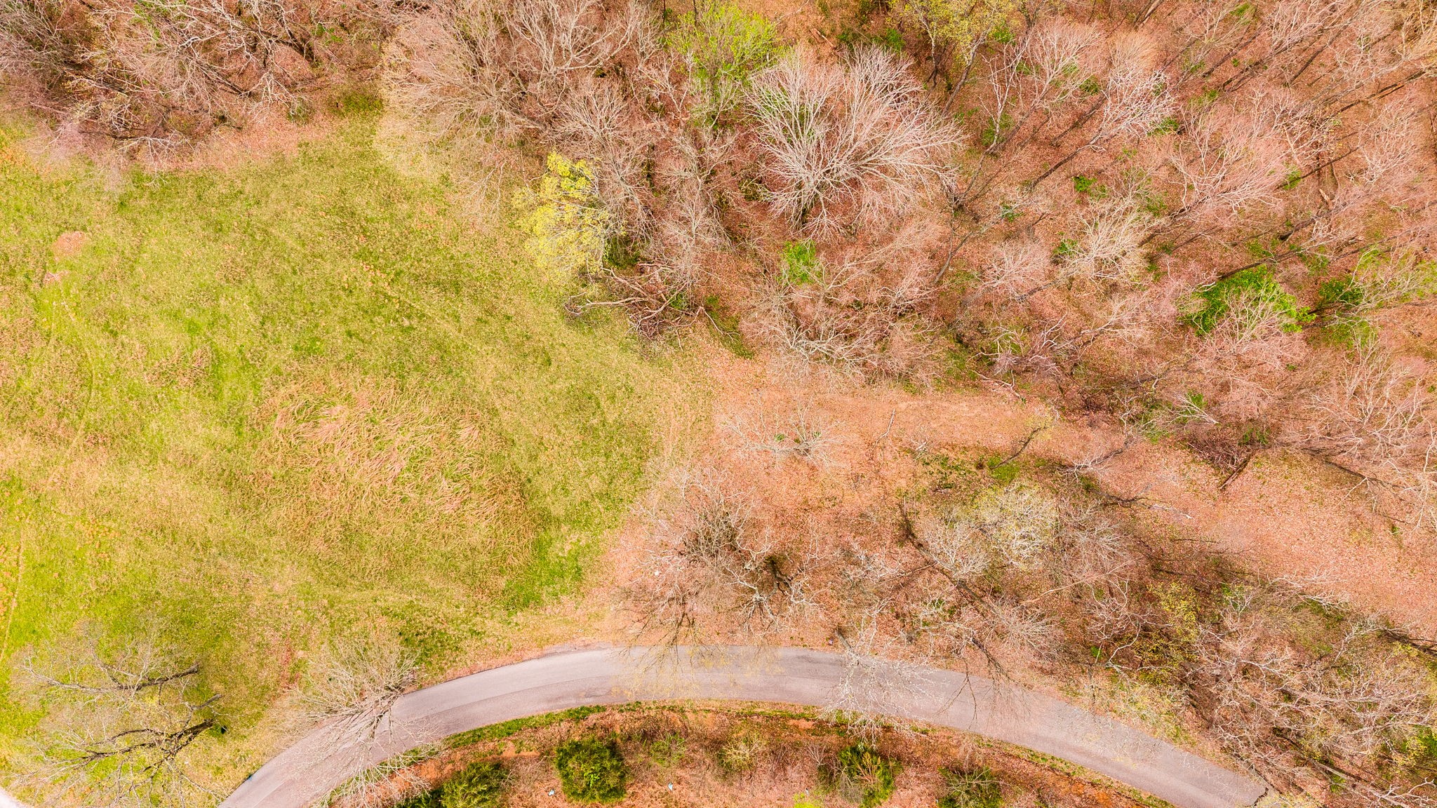 0 Wolf Hill Road Bethpage TN 37022