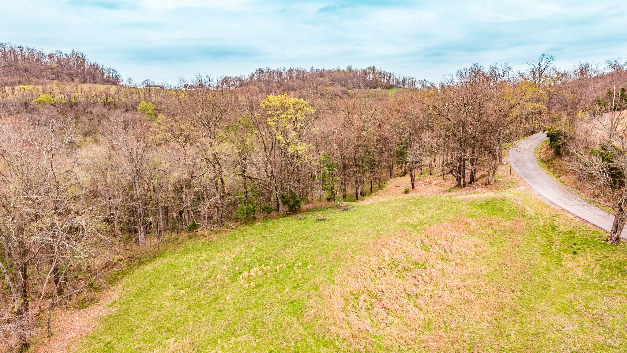 0 Wolf Hill Road Bethpage TN 37022