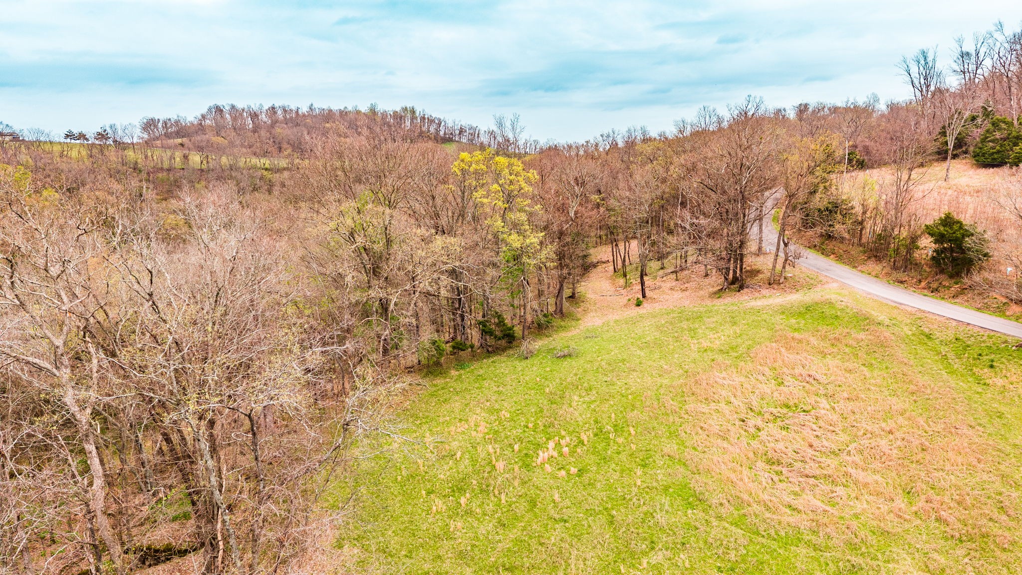 0 Wolf Hill Road Bethpage TN 37022