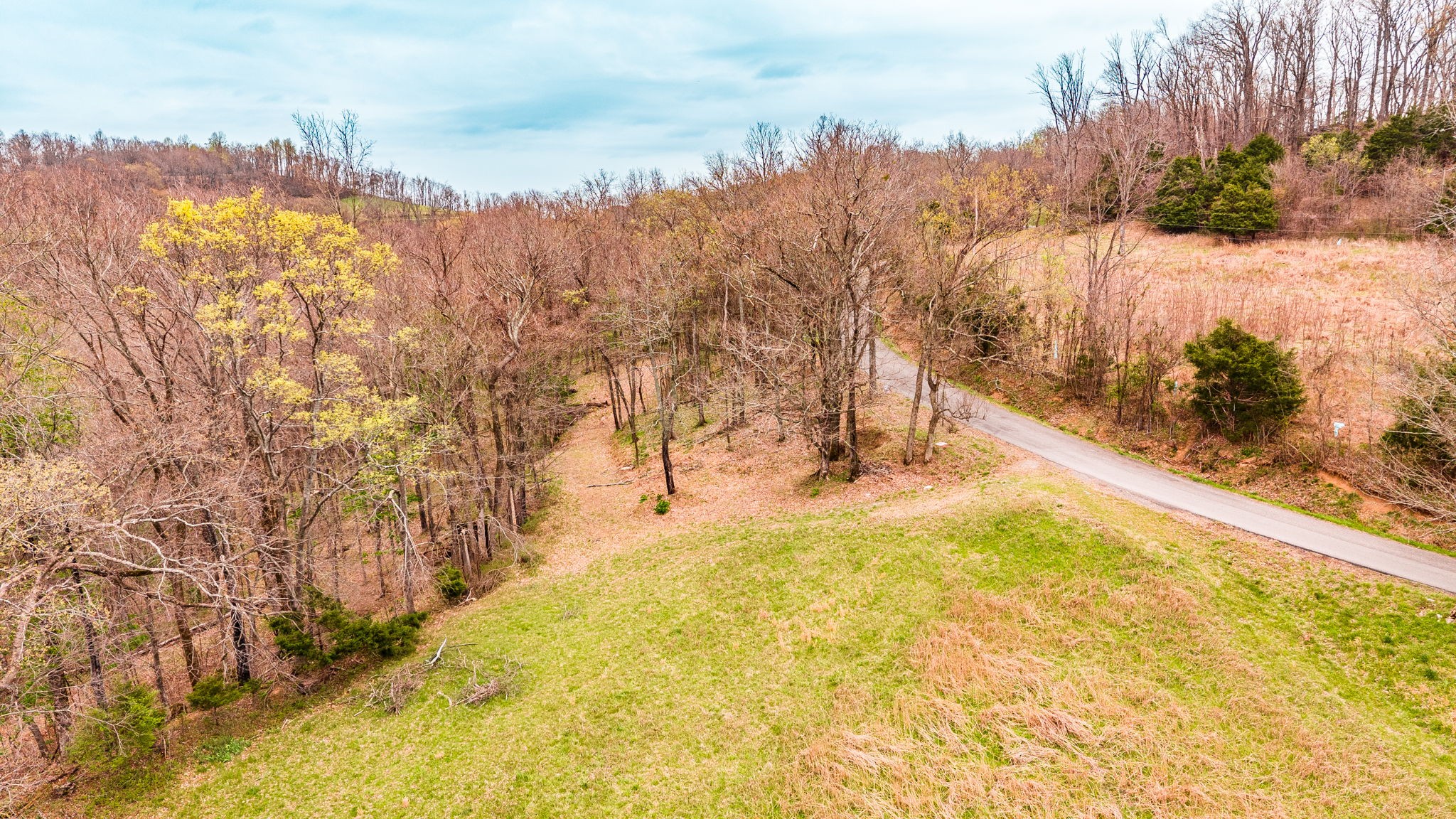 0 Wolf Hill Road Bethpage TN 37022