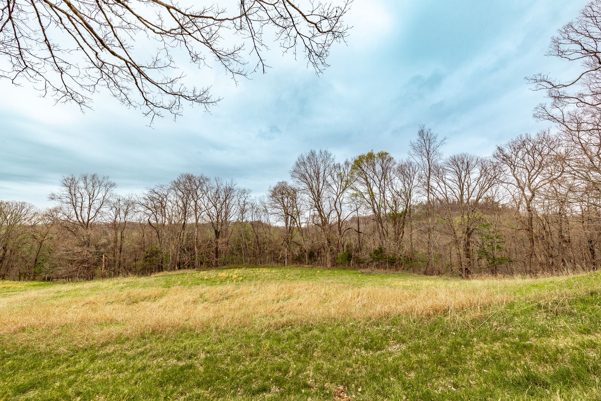 0 Wolf Hill Road Bethpage TN 37022