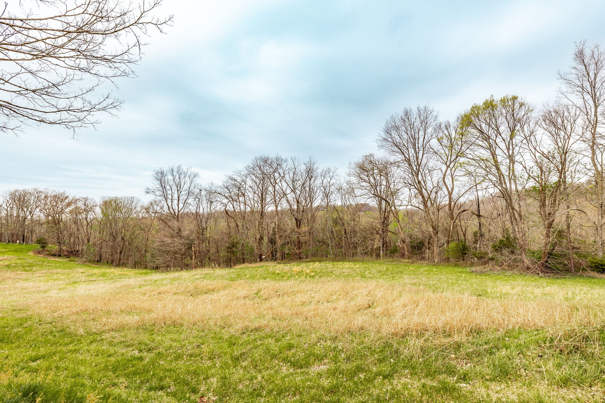 0 Wolf Hill Road Bethpage TN 37022
