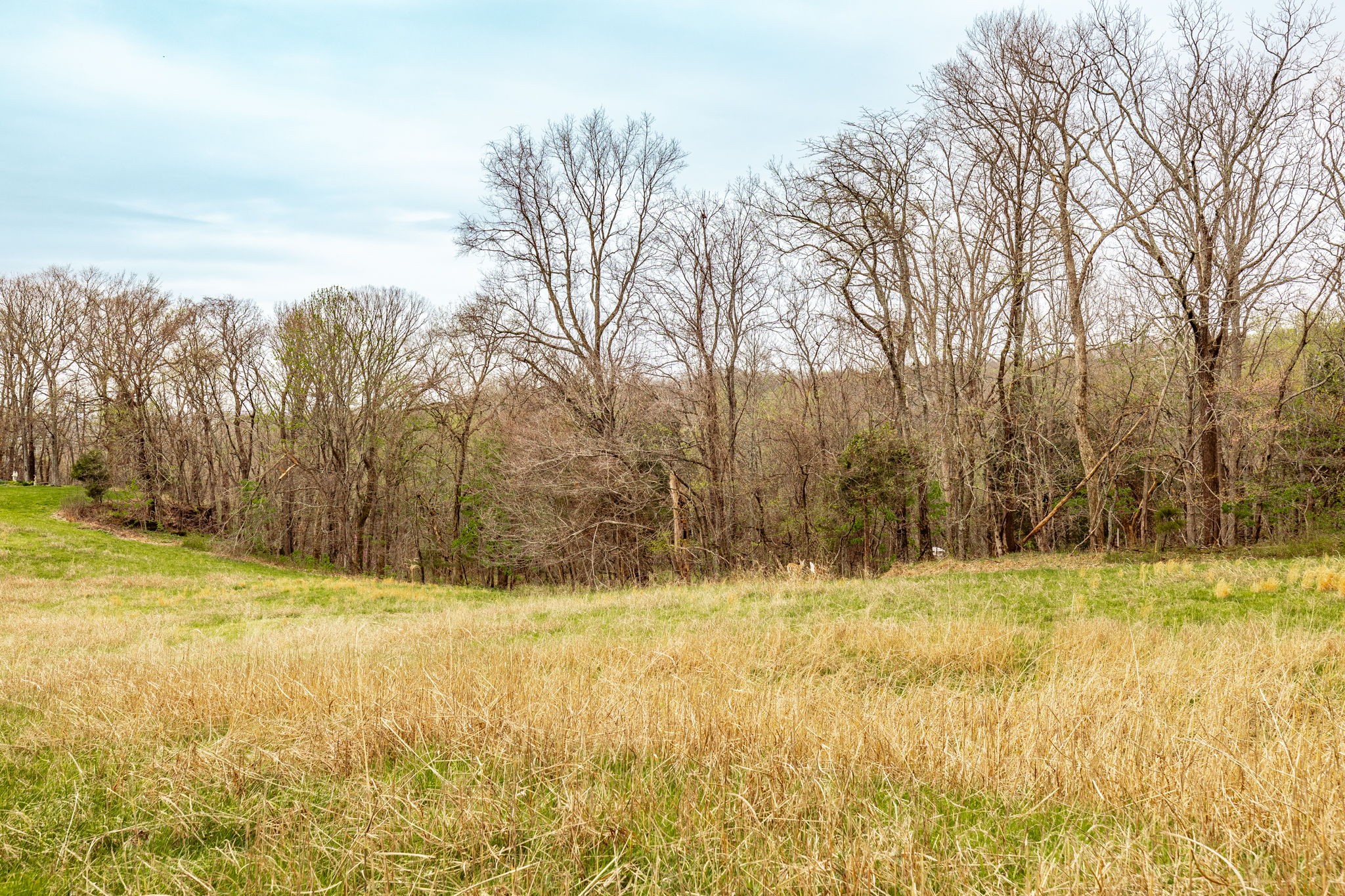 0 Wolf Hill Road Bethpage TN 37022