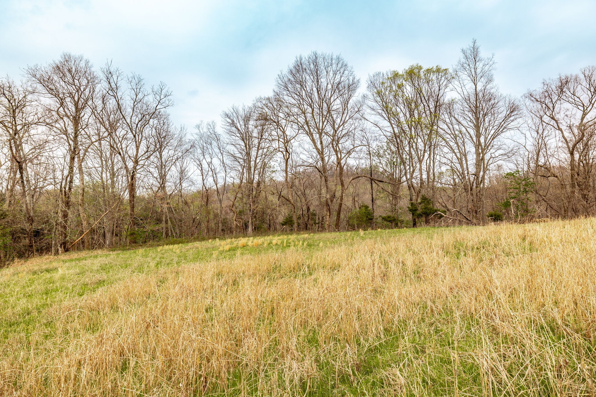 0 Wolf Hill Road Bethpage TN 37022