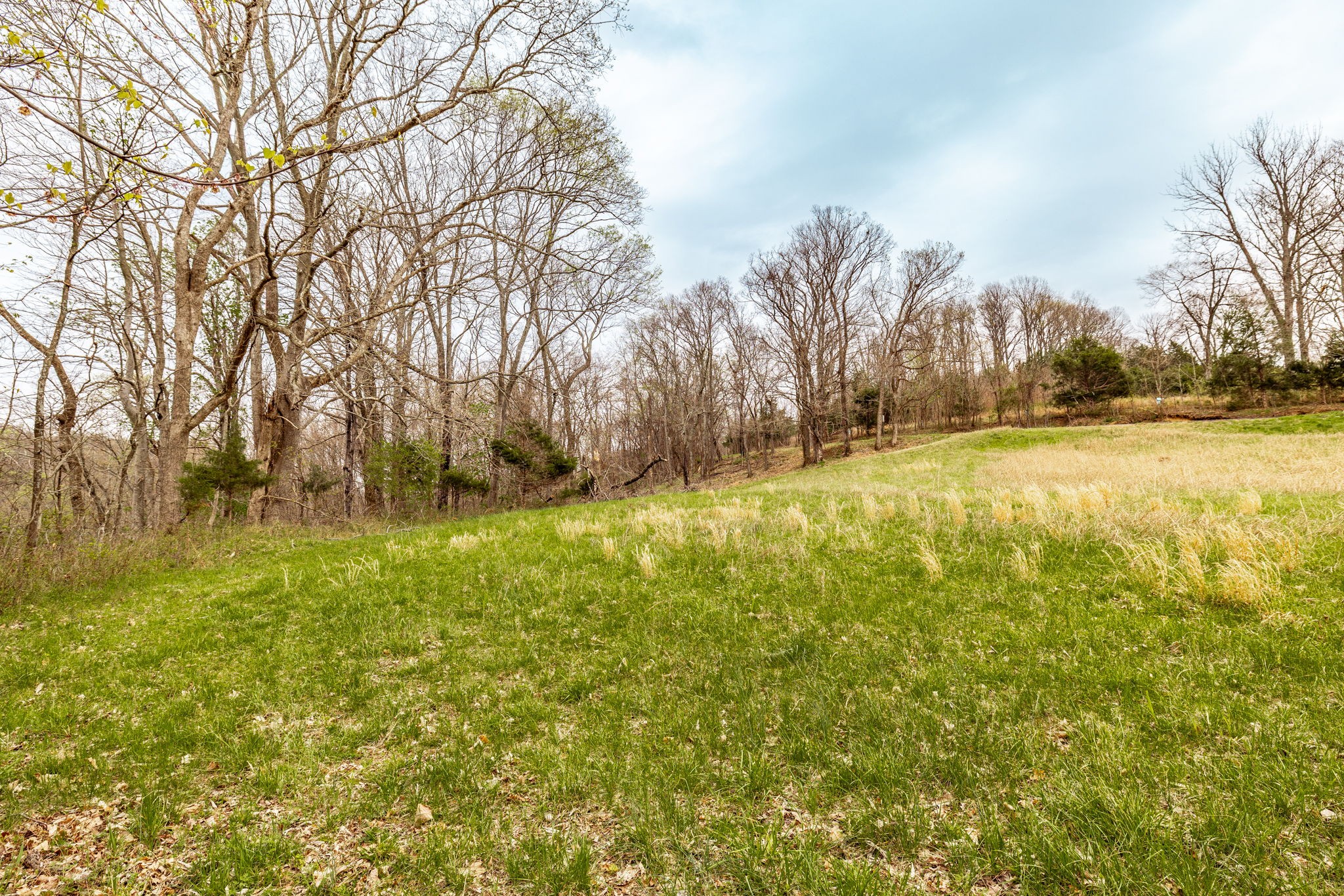 0 Wolf Hill Road Bethpage TN 37022