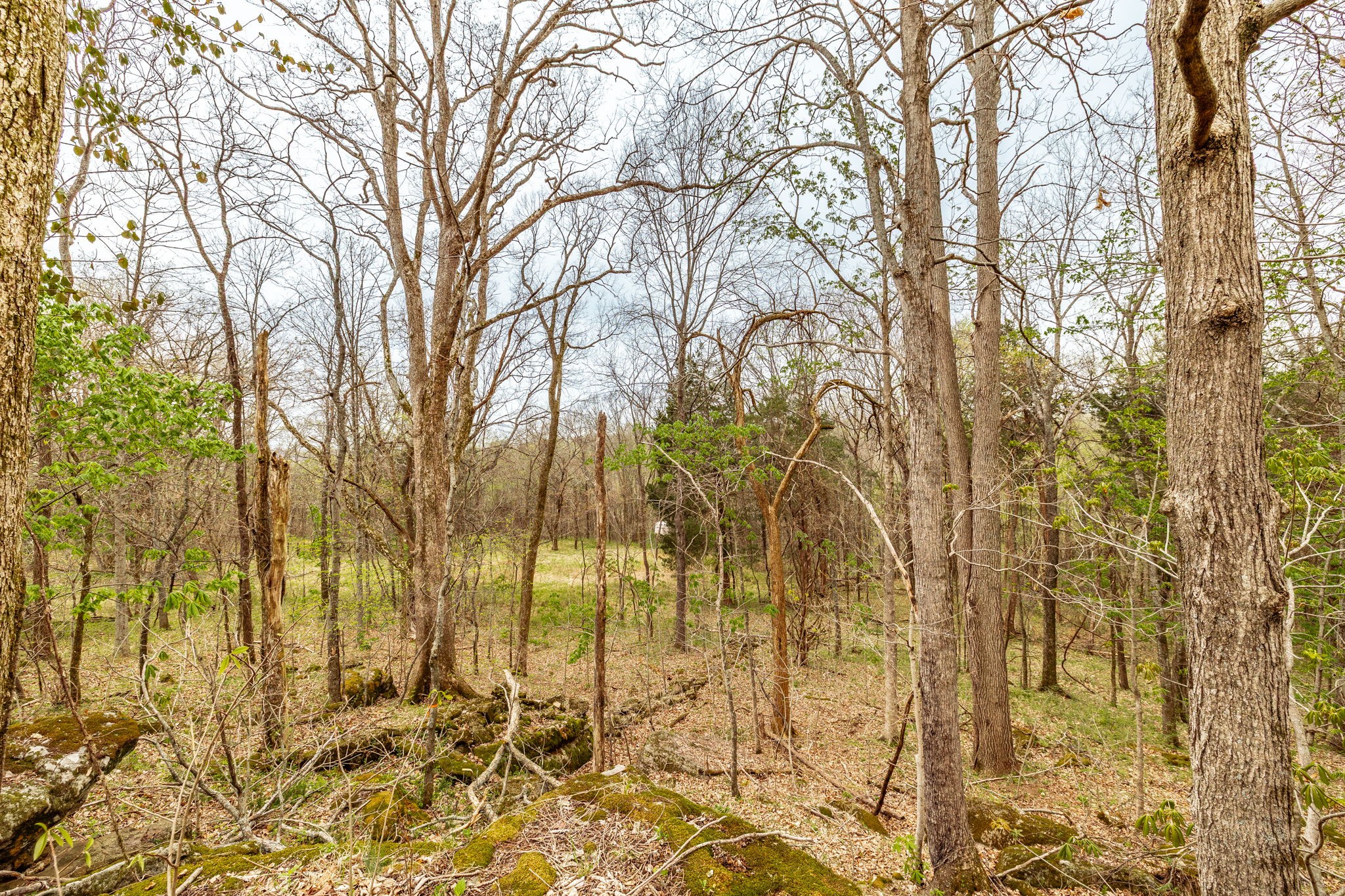 0 Wolf Hill Road Bethpage TN 37022