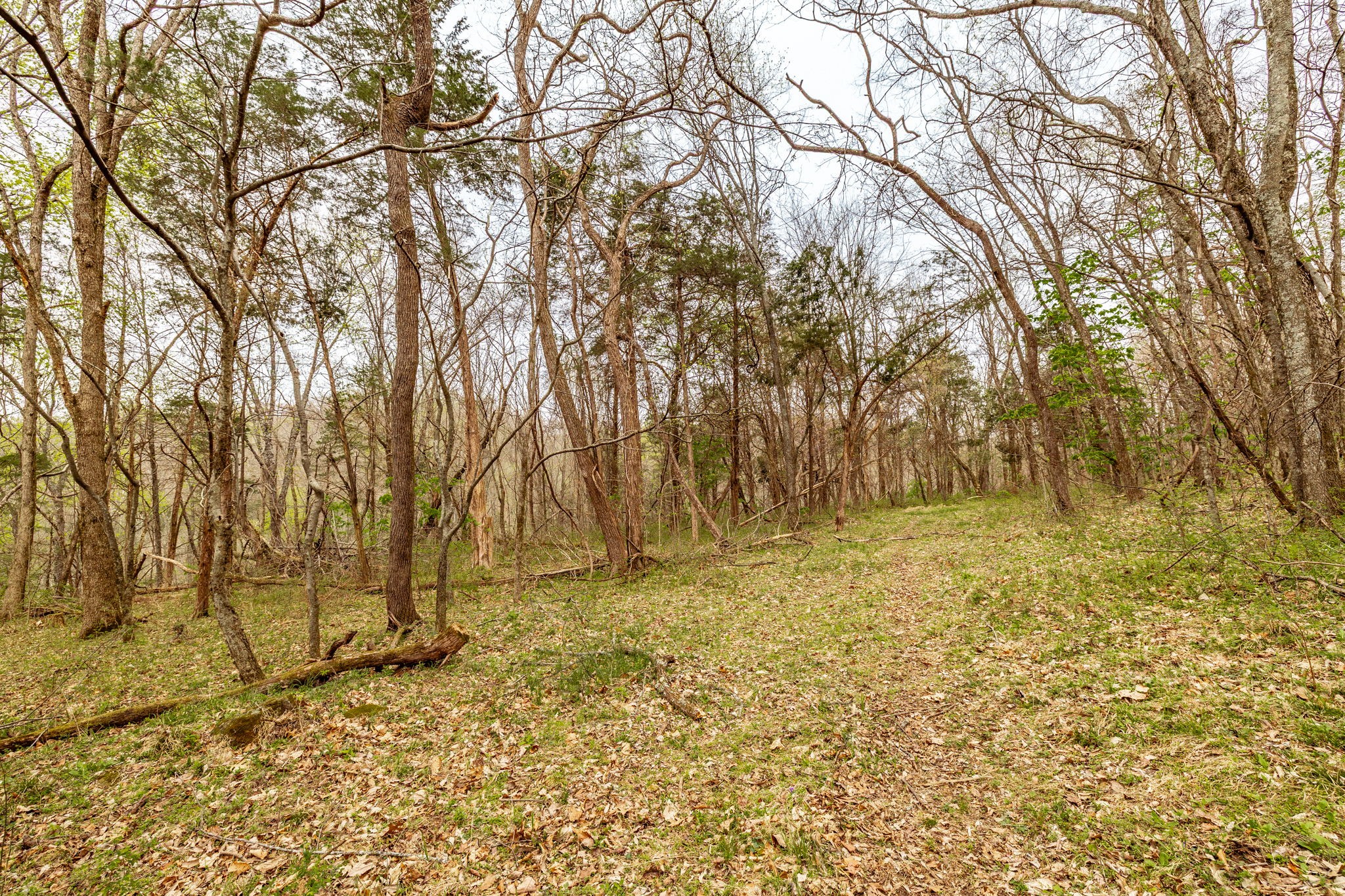 0 Wolf Hill Road Bethpage TN 37022