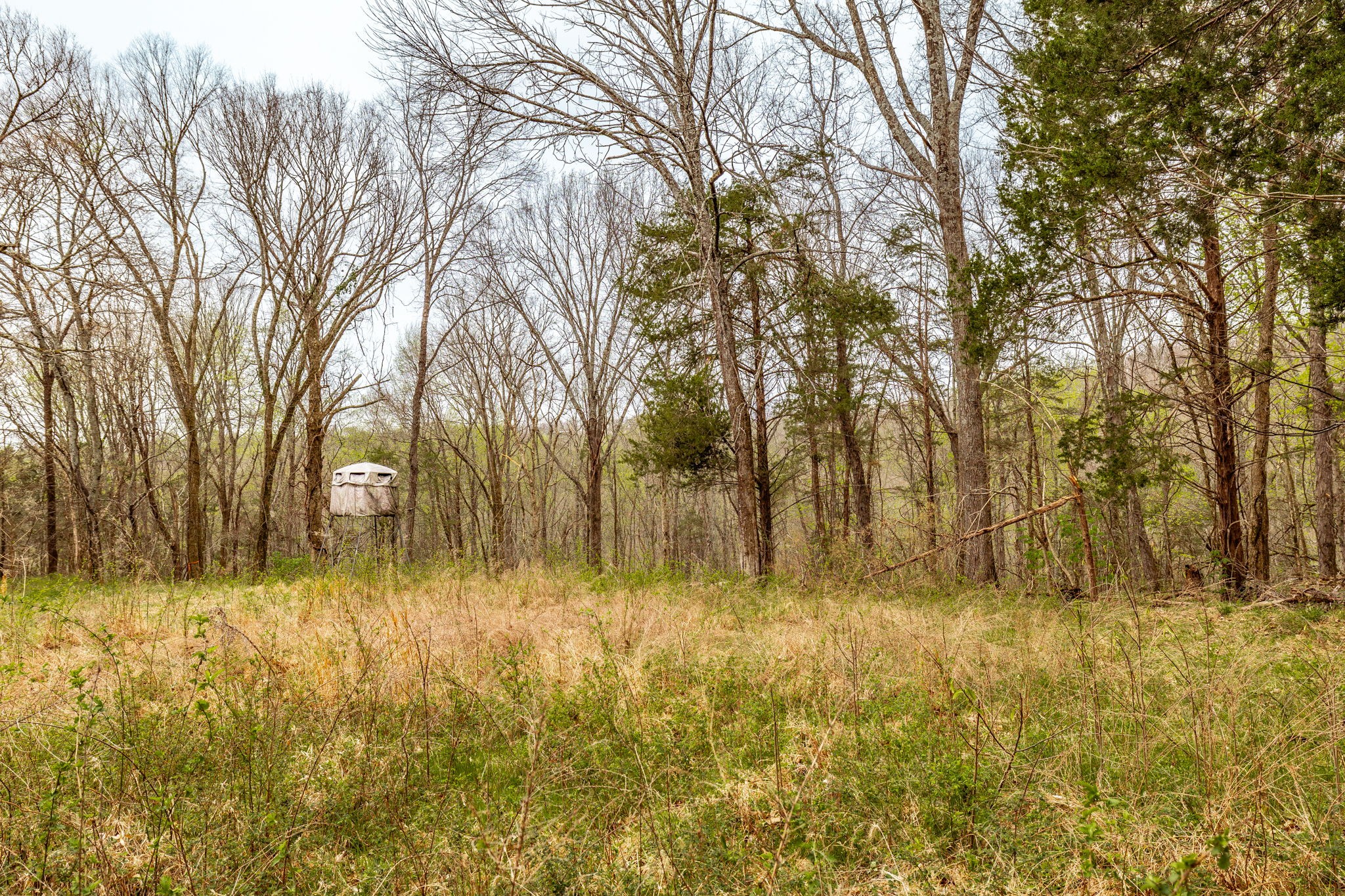 0 Wolf Hill Road Bethpage TN 37022