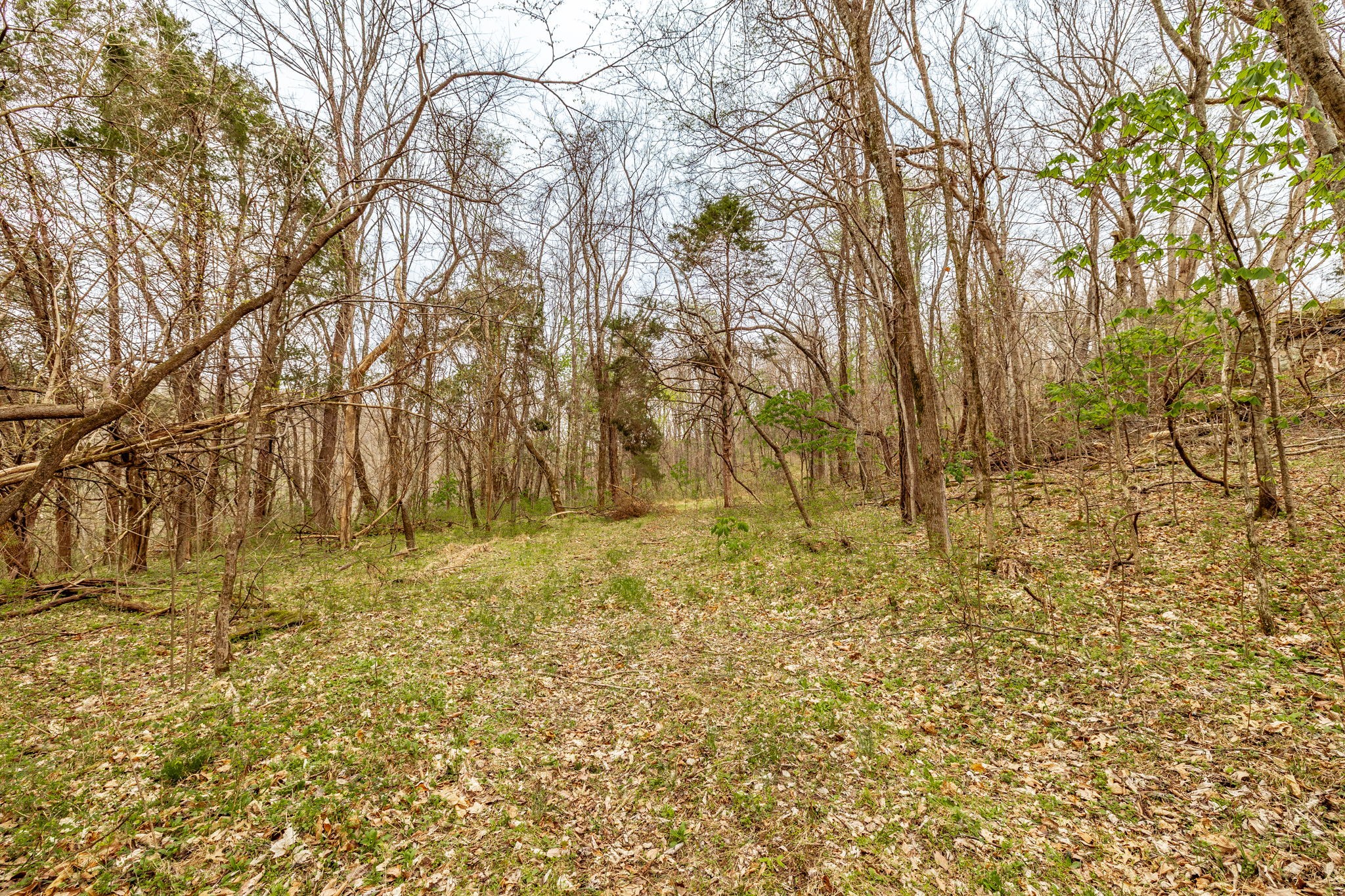 0 Wolf Hill Road Bethpage TN 37022