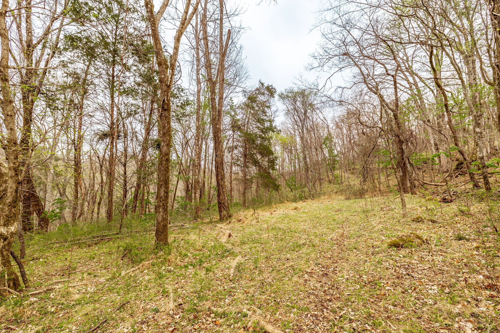 0 Wolf Hill Road Bethpage TN 37022
