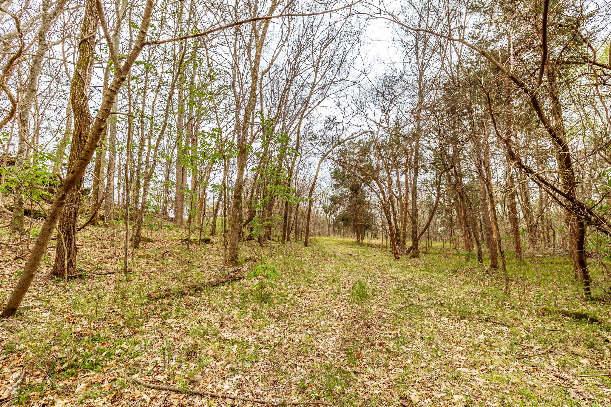 0 Wolf Hill Road Bethpage TN 37022