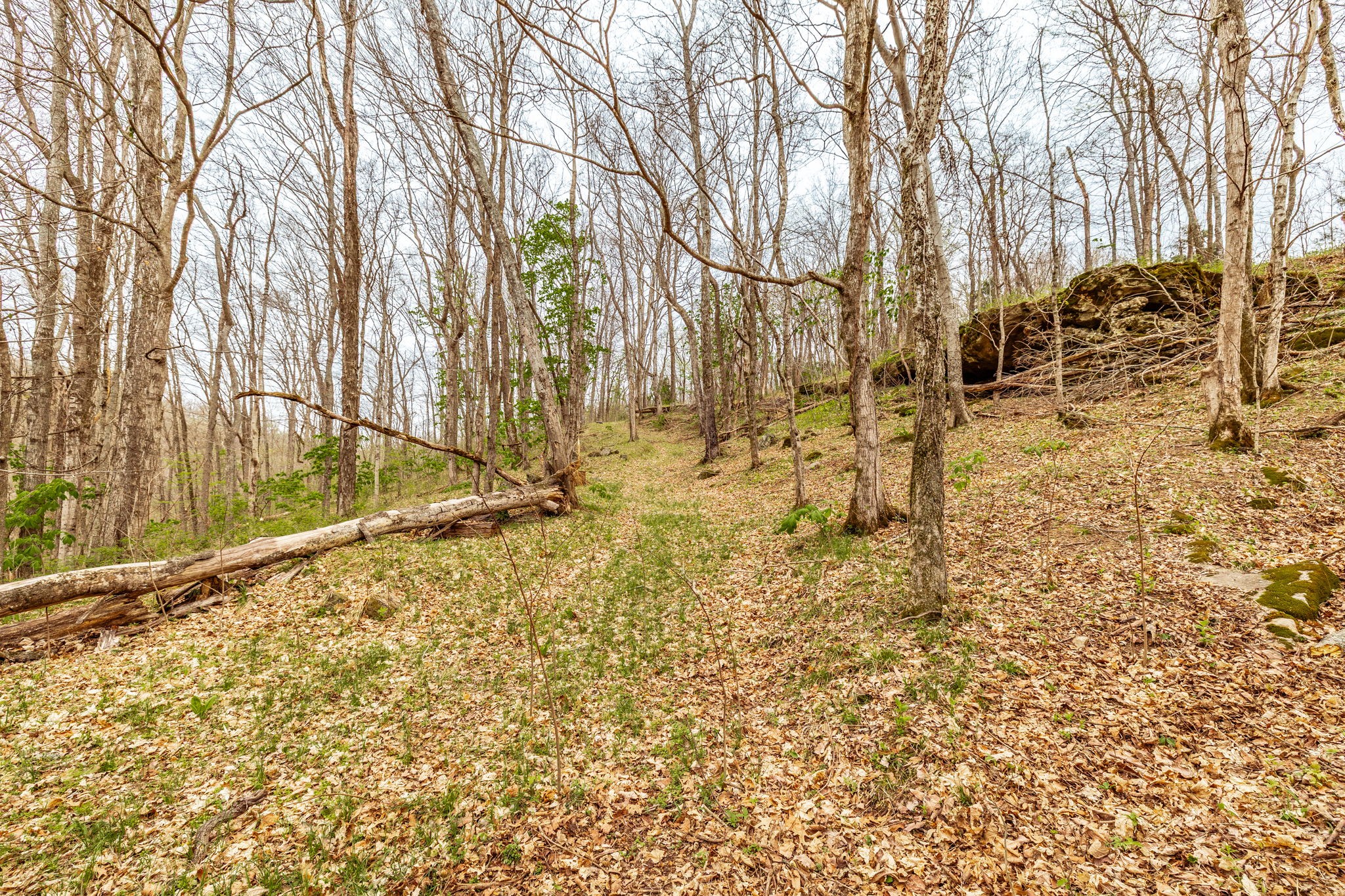 0 Wolf Hill Road Bethpage TN 37022