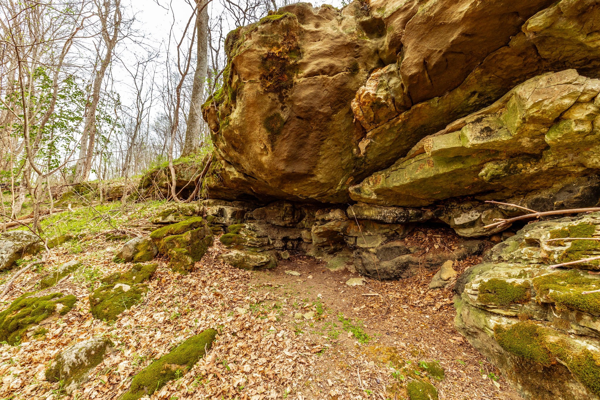 0 Wolf Hill Road Bethpage TN 37022