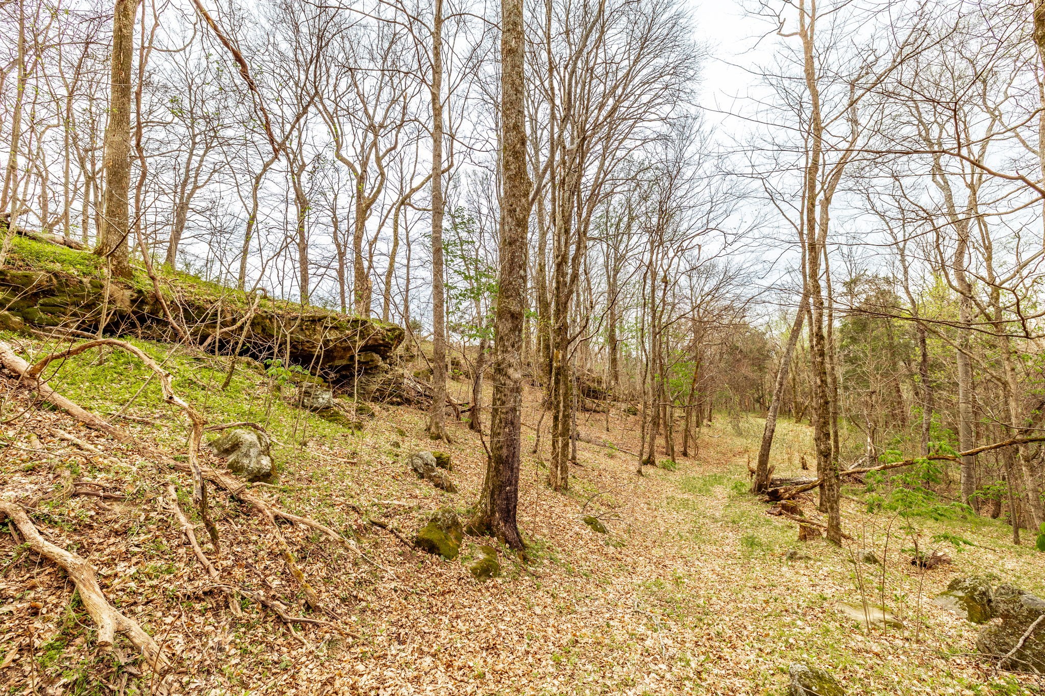0 Wolf Hill Road Bethpage TN 37022