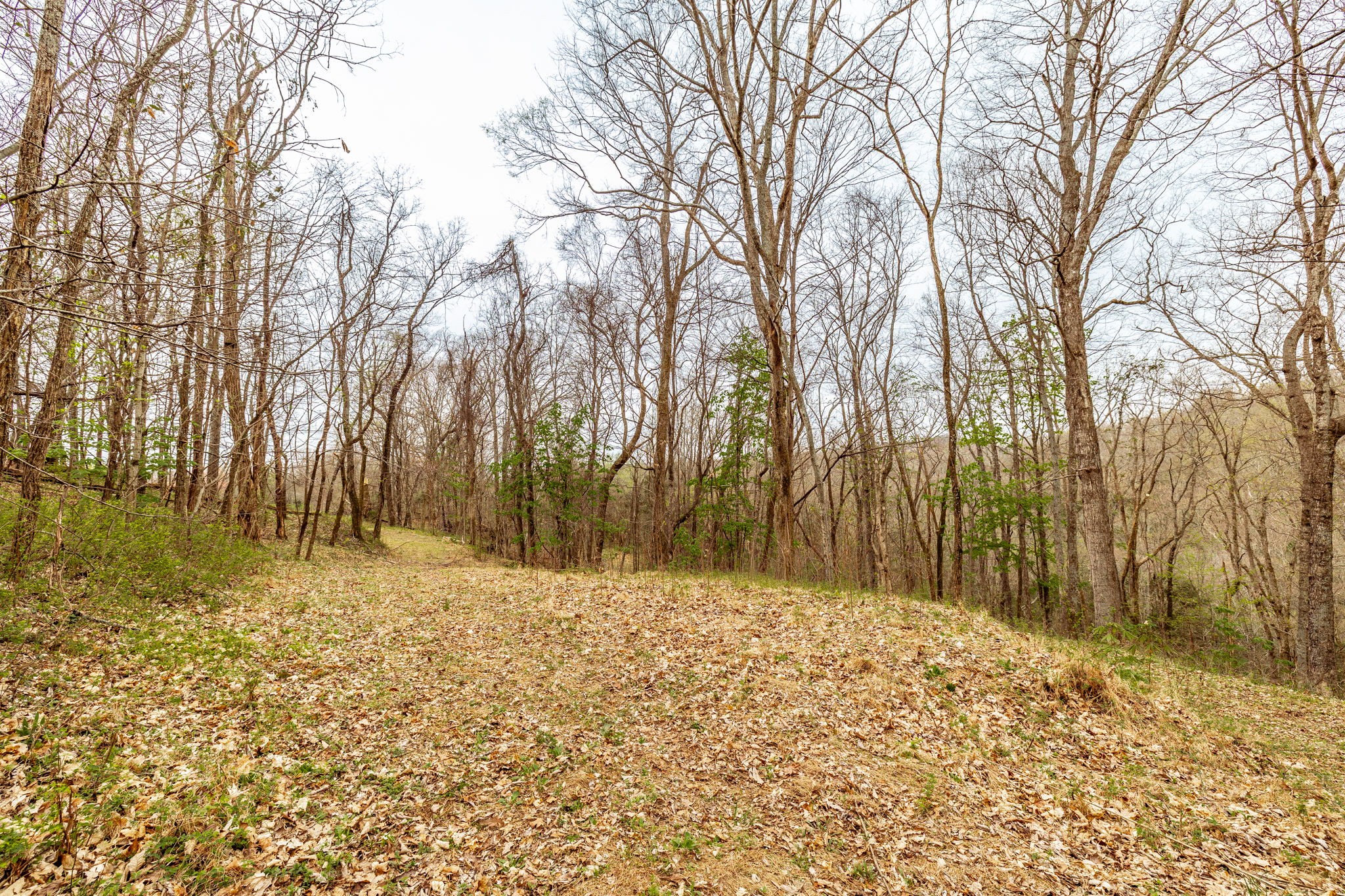 0 Wolf Hill Road Bethpage TN 37022
