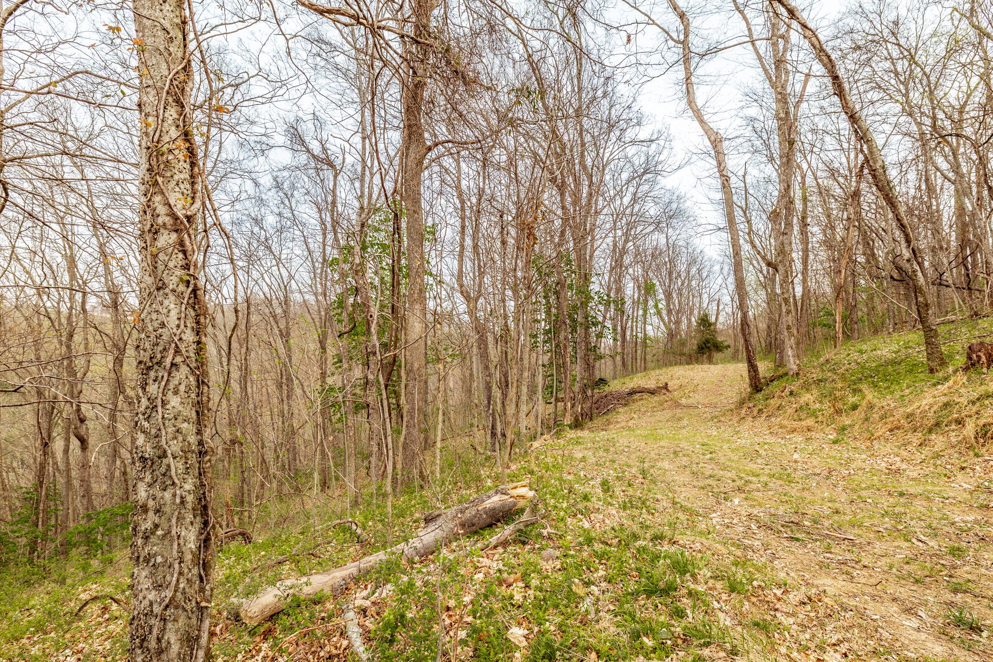 0 Wolf Hill Road Bethpage TN 37022