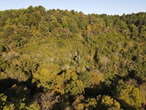 0 Cole Ridge Road Manchester TN 37355